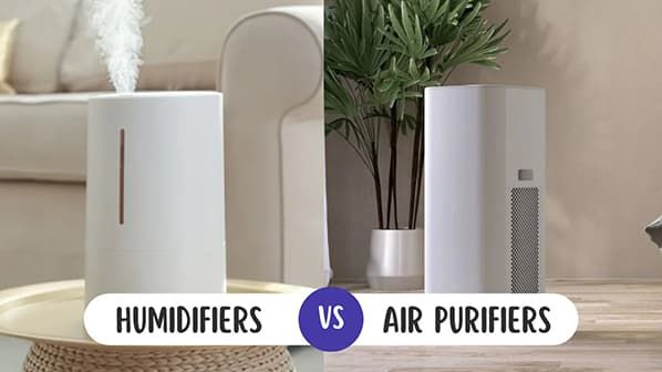 Humidifiers vs. Air Purifiers: Which Offers Better Relief for People Allergic to Stuff?